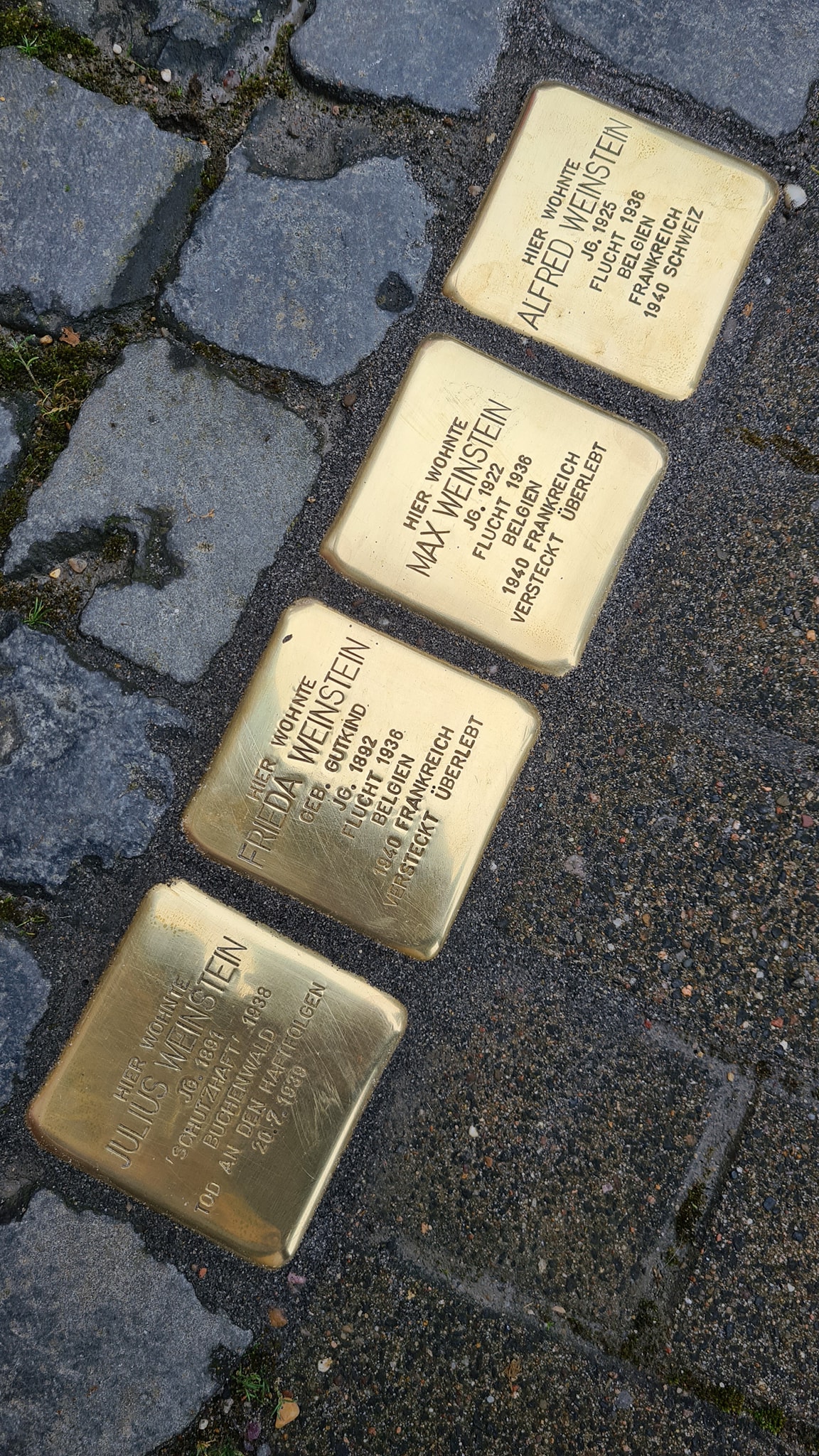Stolpersteine Weinstein